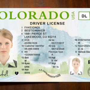 Read more about the article What Is The Driving Age by United States 2023?
